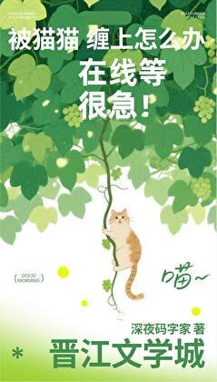 被貓貓纏上怎麼辦！在線等很急！