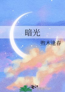 《暗光》