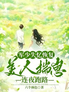 軍少失憶恢復，美人揣崽連夜跑路/六零藏區遇前任，失憶首長爭又搶
