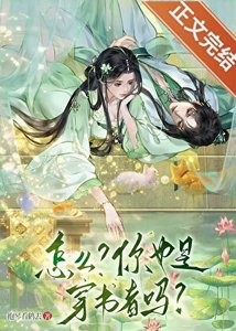 《怎麼?你也是穿書者?!》