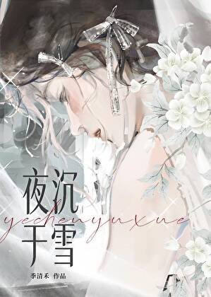 夜沉於雪