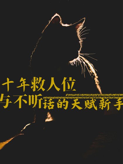 馴服傲嬌新手的方法