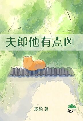 夫郎他有點兇
