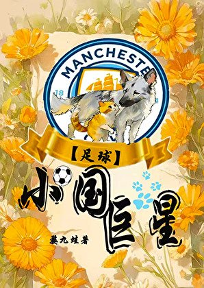 （足球同人）[足球]小國巨星