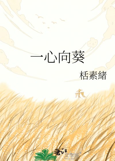 《一心向葵》
