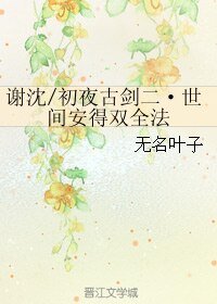 （BL/古劍二同人）謝沈/初夜古劍二·世間安得雙全法