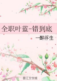 《(全職同人)全職葉藍-錯到底》