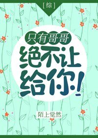 （BG/綜漫同人）[綜]只有哥哥絕不讓給你！