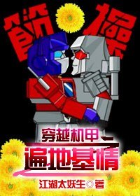 《穿越機甲之遍地基情/當裝逼犯遇到裝逼犯》